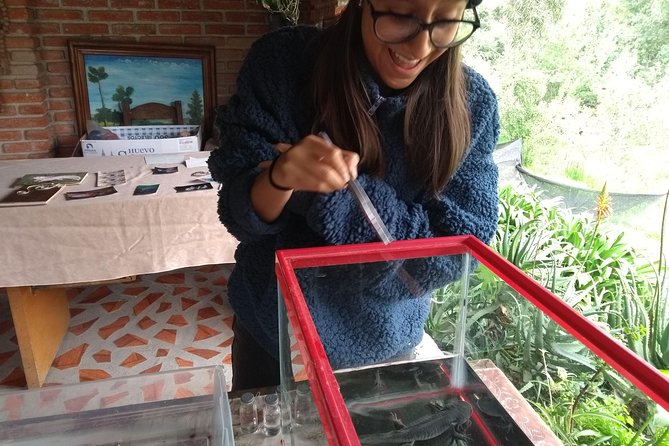 Axolotl Tour From CDMX - Frequently Asked Questions