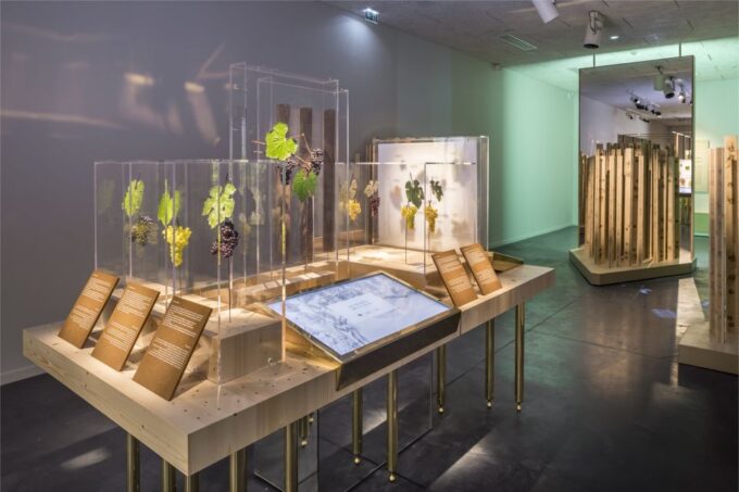 Aÿ-Champagne: Pressoria Champagne Museum With Tasting - Frequently Asked Questions