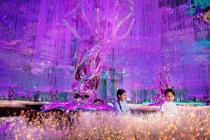 AYA Universe Dubai Tickets - Booking and Confirmation