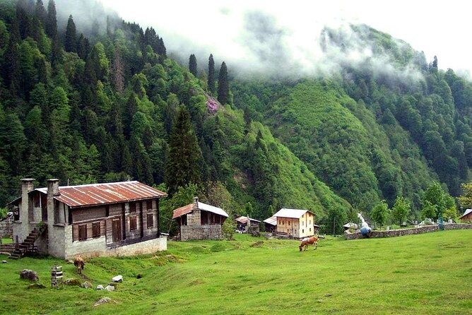 Ayder Tour With FıRtıNa Valley Adventure: Full-Day Experience - Tour Experience and Feedback