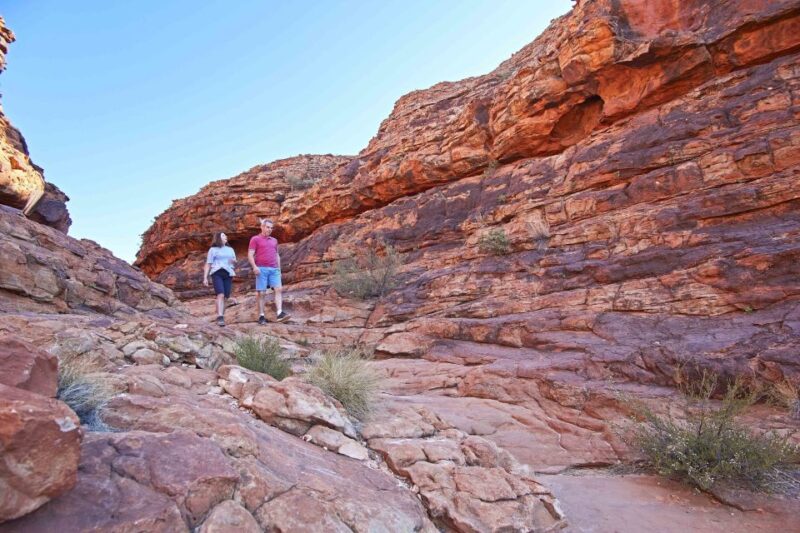 Ayers Rock To Kings Canyon Luxury Bus Transfers - Traveling Through the Red Centre
