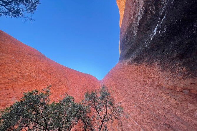 Ayers Rock Uluru Private Tour - Memorable Experiences and Highlights