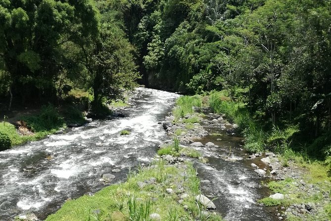 Ayung Rafting Ubud (Include Lunch & Return Transportation) - Tour Reviews