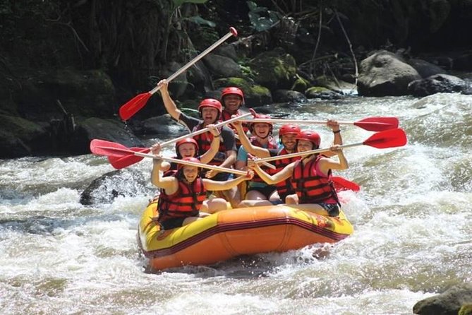 Ayung River Half-Day White Water Rafting Bali in Ubud - Tour Details and Inclusions