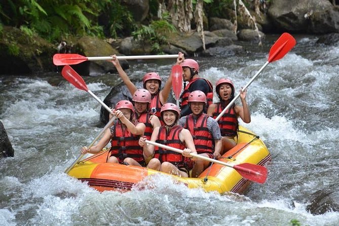 Ayung River Half-Day White Water Rafting Bali in Ubud - Pickup and Transfer Logistics