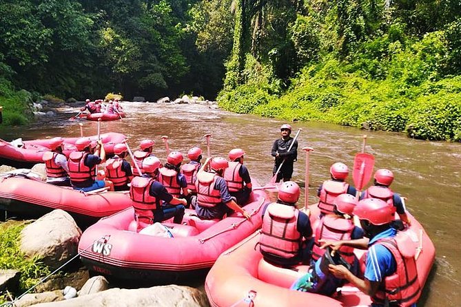 Ayung River Half-Day White Water Rafting Bali in Ubud - Buffet Lunch and Souvenir Photos