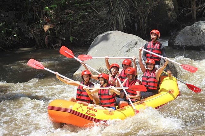 Ayung River Half-Day White Water Rafting Bali in Ubud - Ratings and Positive Feedback