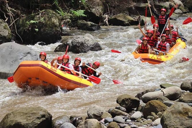 Ayung River Half-Day White Water Rafting Bali in Ubud - Booking and Reservation Information