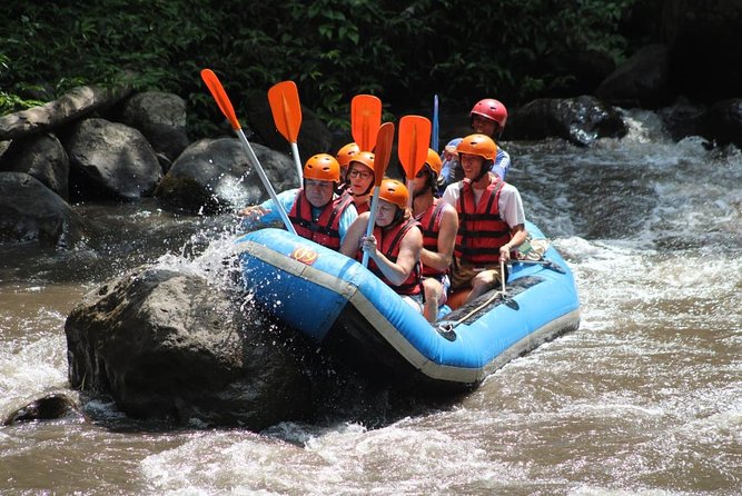 Ayung River Rafting All Inclusive Ticket - Inclusions and Amenities