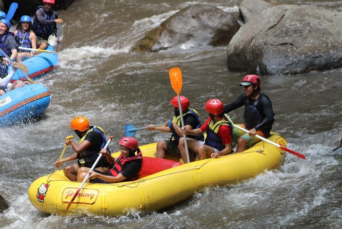 Ayung River Rafting All Inclusive Ticket - Booking Details and Pricing