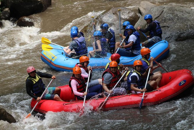 Ayung River Rafting All Inclusive Ticket - Professional Rafting Guide Expertise