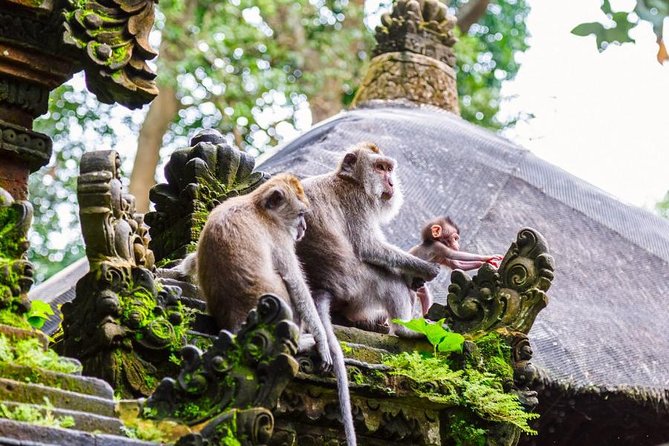 Ayung River Rafting and Tanah Lot Tour - Pickup Details