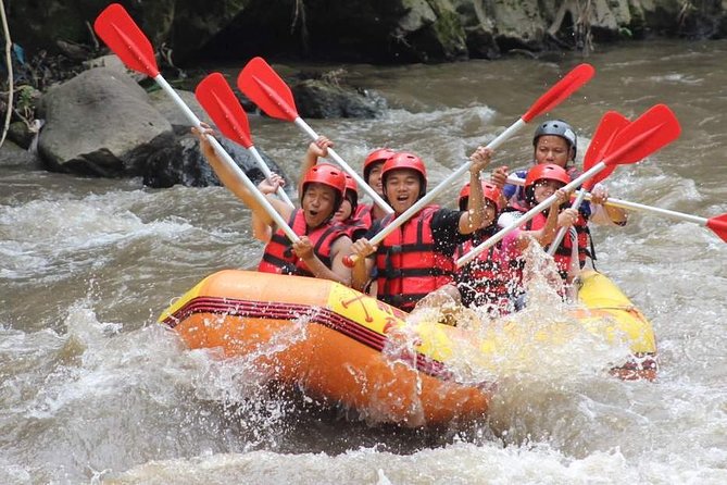 Ayung River - White Water Rafting Bali - Location and Terrain