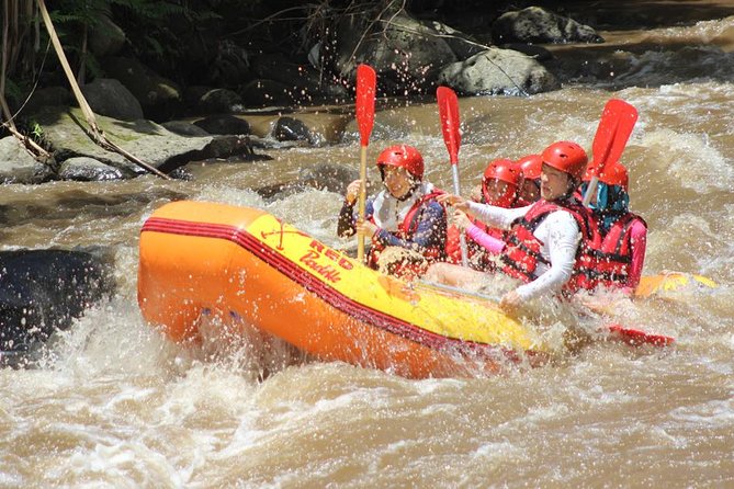 Ayung River - White Water Rafting Bali - Pricing and Booking