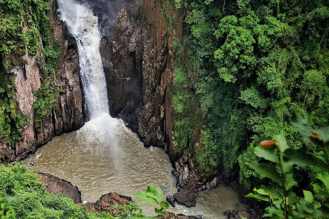 Ayutthaya and Khao Yai National Park Day Trip From Bangkok - Tour Requirements and Restrictions