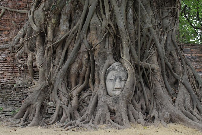 Ayutthaya Day Tour By Coach and Cruise - Tour Overview