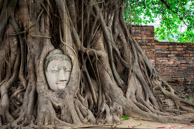 Ayutthaya Sunset or Sunshine Tour With Heritage 100'S Years Boat - Additional Important Information