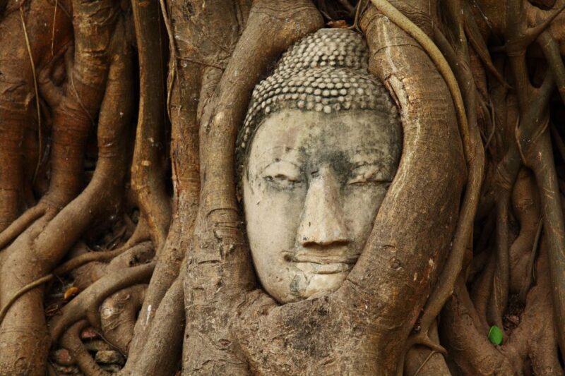 Ayutthaya'S Heritage Revealed a Day Tour From Bangkok - Included Transportation and Entrance Fees