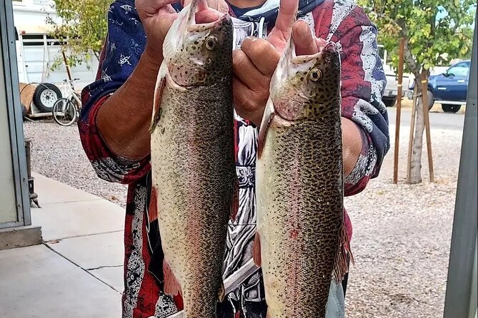 AZ Trout Fishing, on Foot 2hrs. Session! up to 4 People - Accessibility and Service Animals