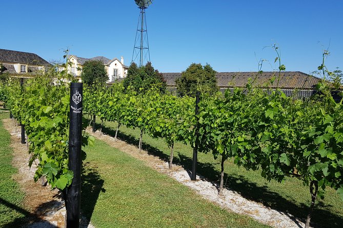 Azeitão and Alentejo Wine and Food Tour - Experience Highlights