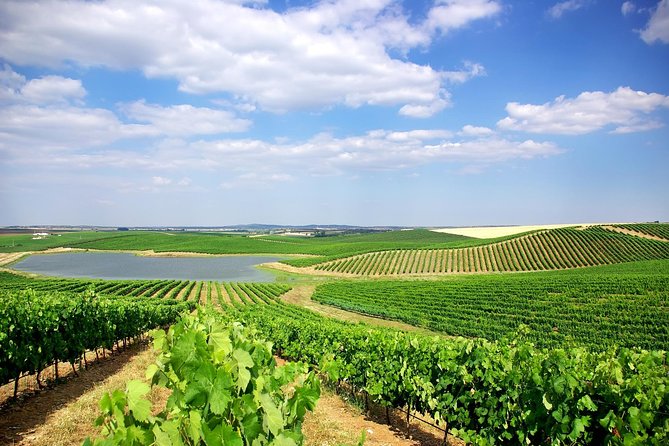 Azeitão and Alentejo Wine and Food Tour - Inclusions