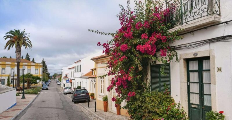 Azeitão - Cheese, Tiles and Wine - Main Activities
