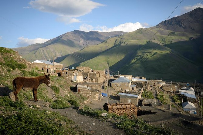 Azerbaijan in 9 Days - Experiencing Azerbaijani Cuisine