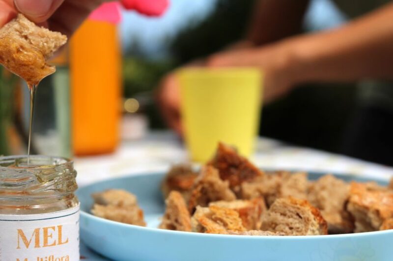 Azores Beekeeping Tour and Honey Taste - Participant Requirements