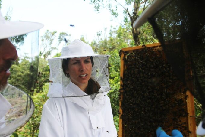 Azores Beekeeping Tour and Honey Taste - Recap