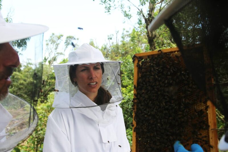 Azores Beekeeping Tour and Honey Taste - Experience Details
