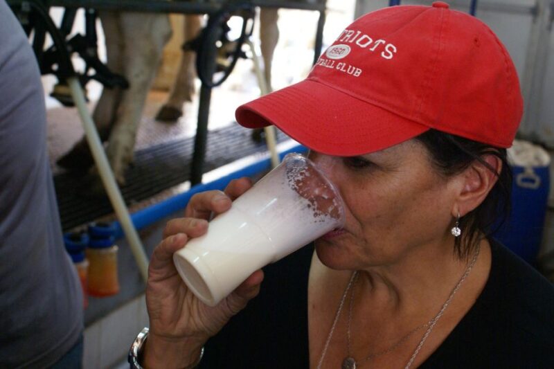 Azores: Day at the Farm With Outdoor Traditional Lunch - Guided Factory Tour
