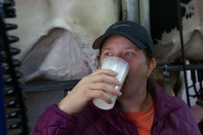 Azores: Day at the Farm With Outdoor Traditional Lunch - Feeding the Animals