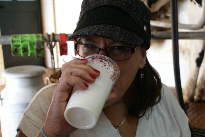 Azores: Day at the Farm With Outdoor Traditional Lunch - Frequently Asked Questions