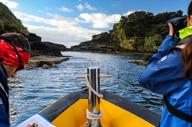 Azores Marine Birdwatching Expedition - Observing Seabirds and Wildlife