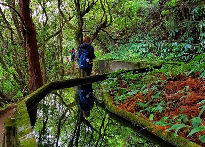 Azores: São Miguel and Lagoa Do Fogo Hiking Trip - What to Bring