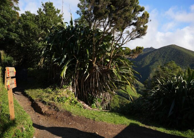 Azores: São Miguel and Lagoa Do Fogo Hiking Trip - Customer Feedback