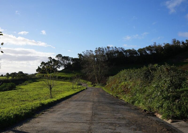 Azores: São Miguel and Lagoa Do Fogo Hiking Trip - Hiking Highlights