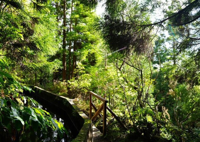 Azores: São Miguel and Lagoa Do Fogo Hiking Trip - What to Bring