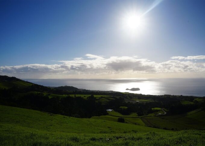Azores: São Miguel and Lagoa Do Fogo Hiking Trip - Customer Feedback