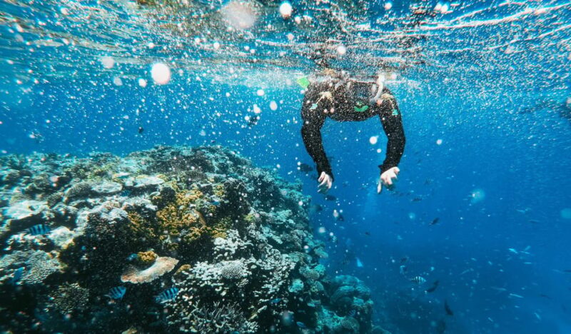 Azores São Miguel: Full Day Hike and Snorkeling With a Local - Activities Included