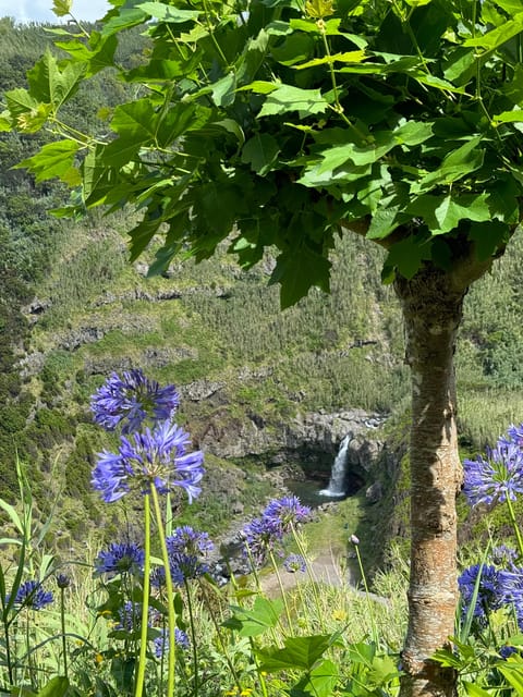 Azores São Miguel: Full Day Hike and Snorkeling With a Local - What to Bring