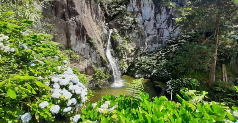 Azores: São Miguel Hike and Snorkeling With a Local - Customer Feedback