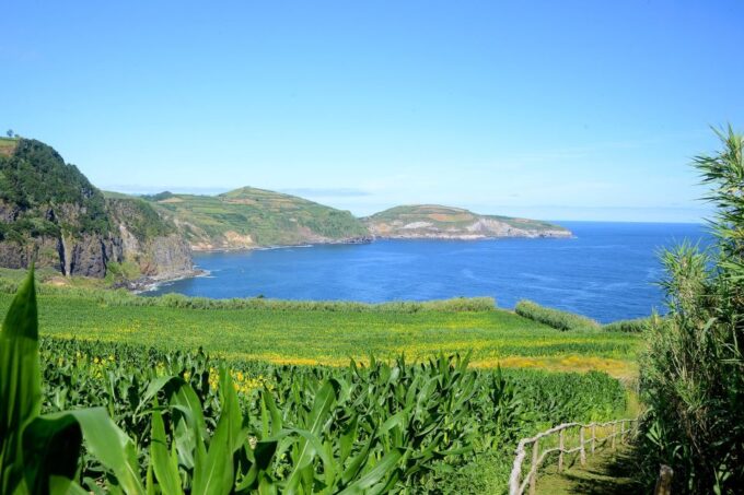 Azores: São Miguel Hike and Snorkeling With a Local - Hike Through Forests