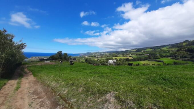 Azores: São Miguel Hike and Snorkeling With a Local - Transportation and Guide