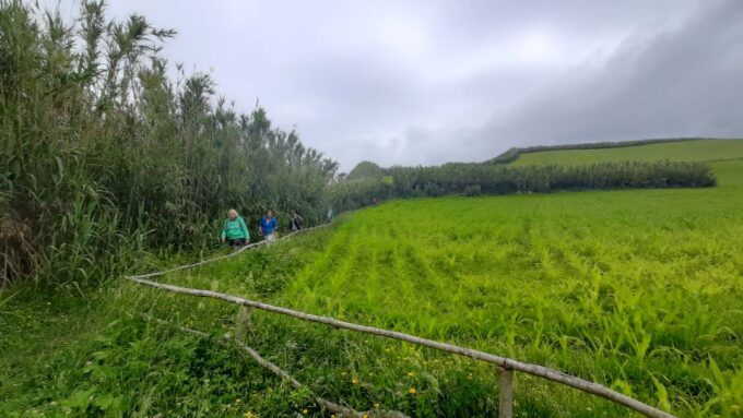 Azores: São Miguel Hike and Snorkeling With a Local - Frequently Asked Questions