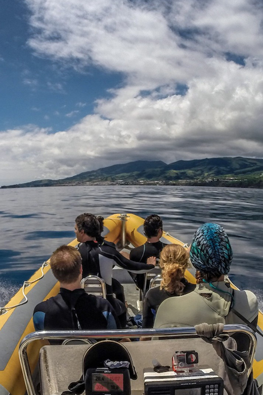 Azores: Swim With Dolphins Atlantic Experience - Included Equipment