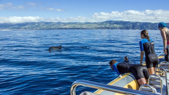 Azores: Swim With Dolphins Atlantic Experience - Meeting Point and Duration