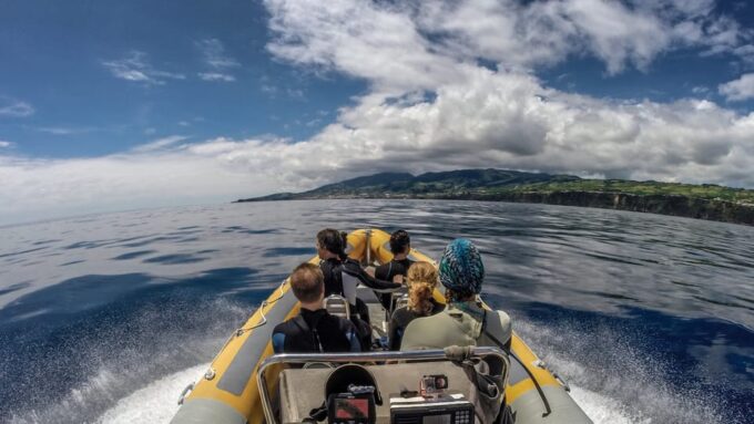 Azores: Swim With Dolphins Atlantic Experience - Cancellation Policy