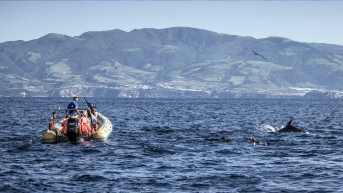 Azores: Swim With Dolphins Atlantic Experience - Frequently Asked Questions