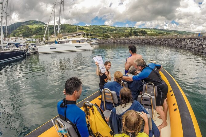 Azores Swim With Dolphins Atlantic Experience - Participant Requirements
